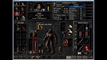 Wizardry 8 Christian Coders Mod 05