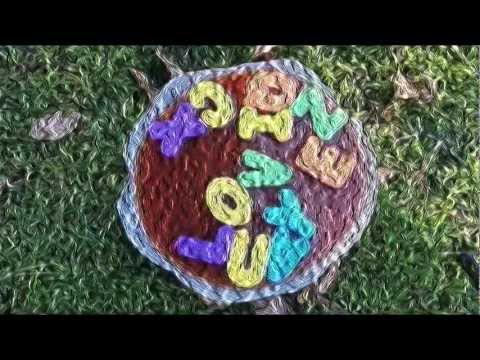 Alphabet Soup Love - Michael Dyer (from my 4th CD: Compli-intricated Life)