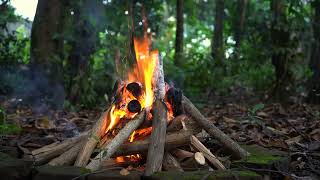 Gentle Crackling Fire for Deep Rest