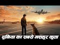 दुनिया का सबसे मशहूर कुता || The world&#39;s most famous dog