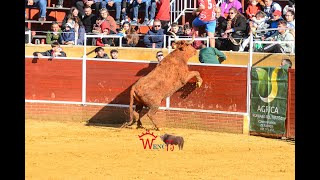 BUENA VACA DE ARRIAZU EN PANTOJA by Wenc75 Videos 1,176 views 4 months ago 8 minutes, 6 seconds