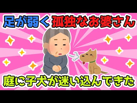 A puppy wandered into the garden of a frail, lonely old woman. She decided to keep it, but then s...