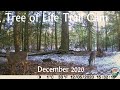 Tree of Life Trail Cam Video in New England | December 2020