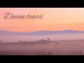 【聖なる涙】Divine tears