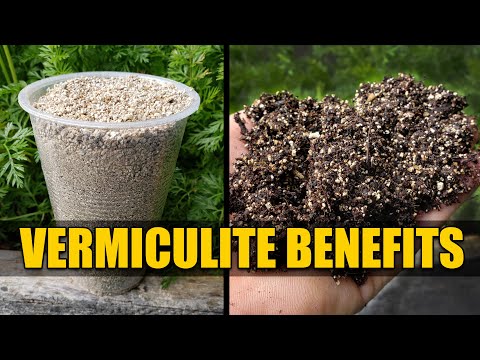 Benefits of Vermiculite - Garden Quickie Episode