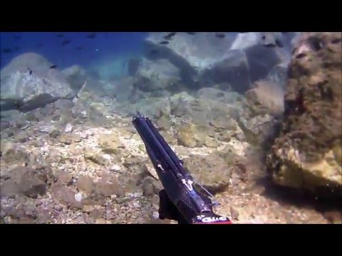 Ψαροντούφεκο - Spearfishing