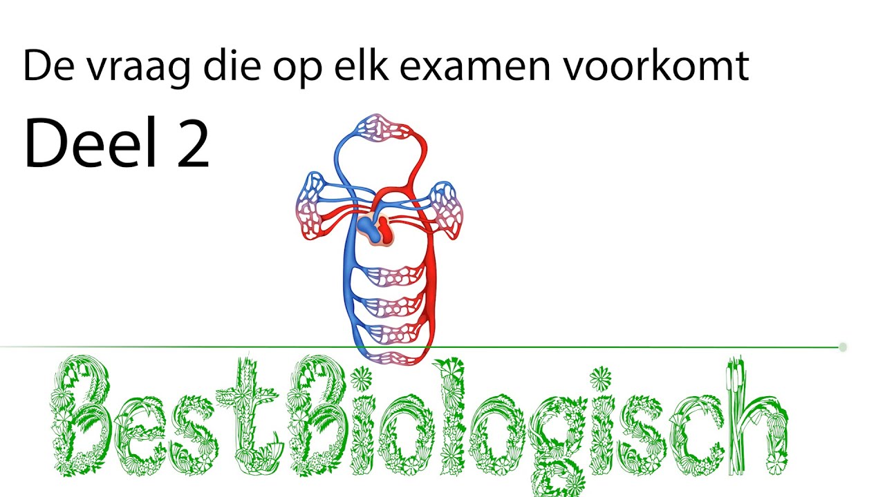 De vraag die op elk biologie examen voorkomt - Deel 2.1 - YouTube