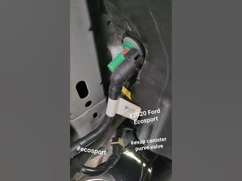 2020 Ford Ecosport Evap canister purge solenoid location and