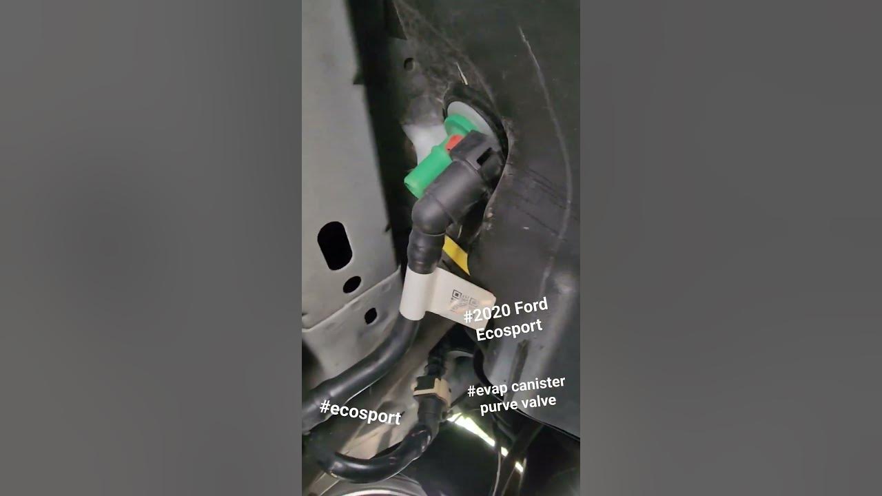 2020 Ford Ecosport Evap canister purge solenoid location and