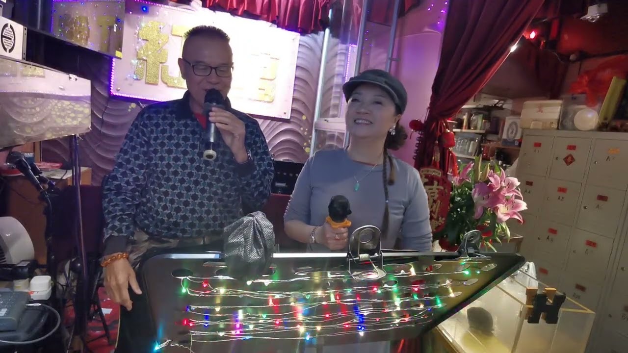 海燕，荣少，平湖秋月2O25年12月28日🎤🙏😂👏🍷🥃💃🌹