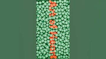 logo animation blender #blender #blender3d #vfx #animation #trendingshorts #trending #logoanimation