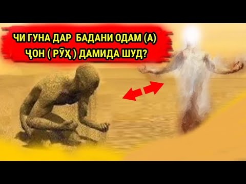 Таърихи Пайдоиши Инсоният- Аввалин Паёмбар Одам (А)