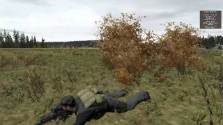 Arma 2 DayZ Forest fire?