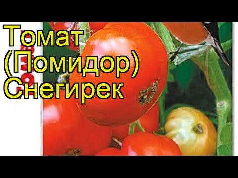 Видео: Домат Санка - добив и характеристики на сорта