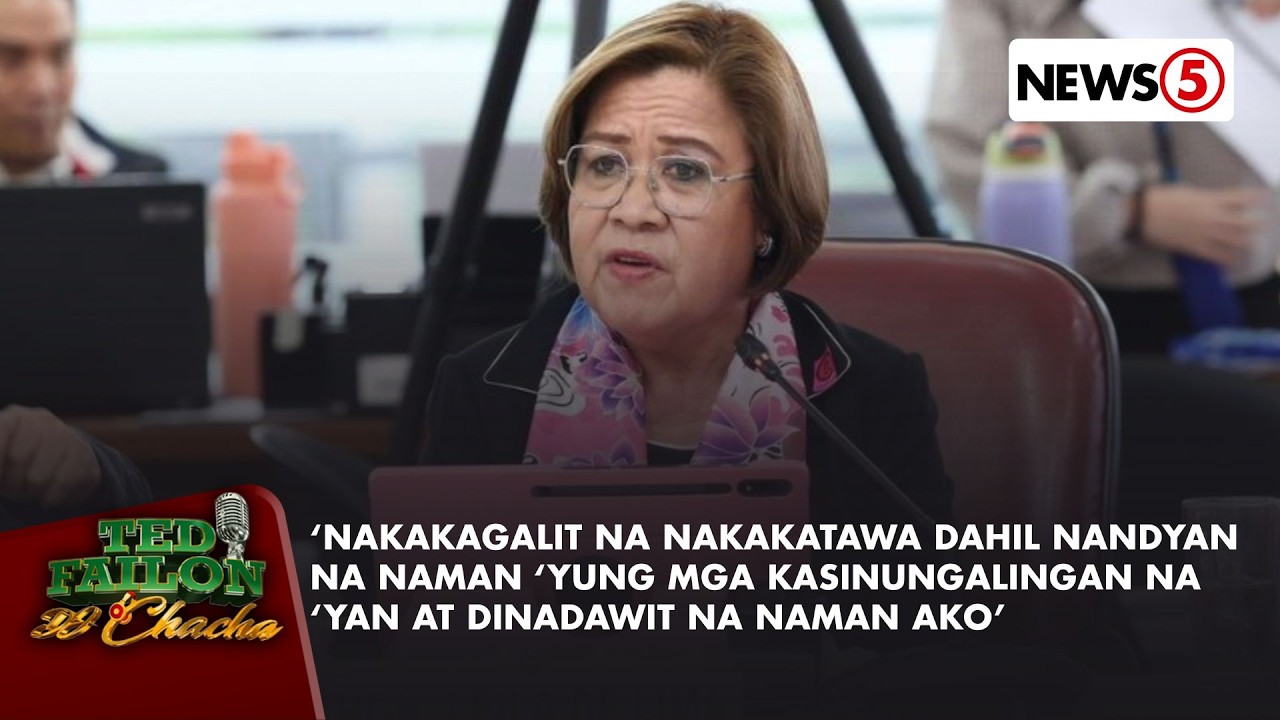 Rep. De Lima, itinanggi ang paratang na tumanggap siya ng male-maleta o paper bag na may pera
