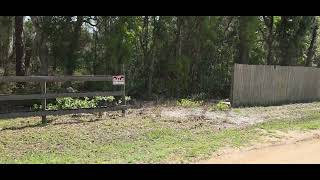121 Palmer Street, Interlachen FL 32148