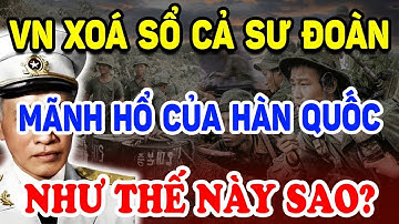 Đặc Công QGP VN XOÁ SỔ Cả Sư Đoàn Mãnh Hổ Khét Tiếng Hàn Quốc Chấn Động Thế Giới | Triết Lý Tinh H