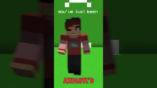 Youve Just Been Axolotld