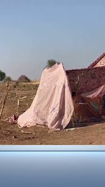      :    
 - نشر قبل 24 ساعة