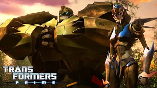 Transformers: Prime | S01 E19 | FULL Episode | Cartoon | Animation | Transformers Official