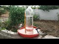 Automatic Watering system for birds | Water for birds