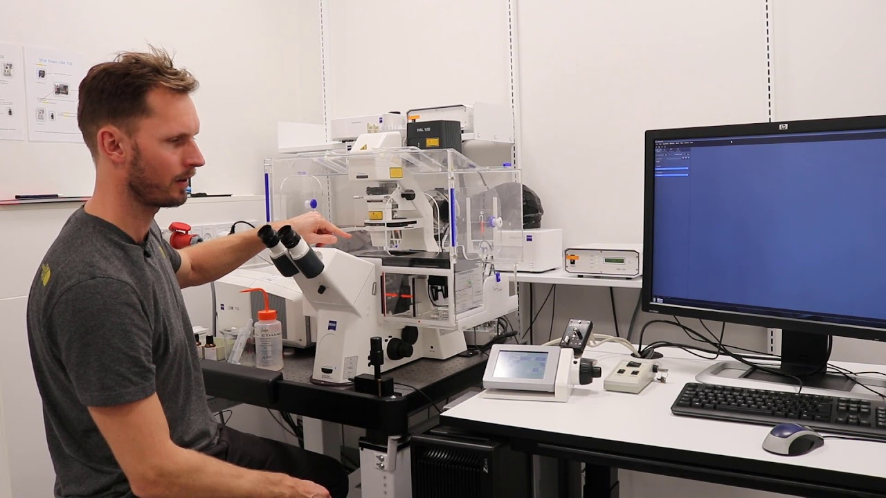 Bioimaging Laser Scanning Confocal Microscope (LSM710) YouTube