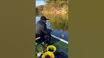 Cần câu cá tự động, câu cá lớn dễ dàng 😍 | Fishcamp Việt Nam #6  #fishing #carpfishing #fishinglure