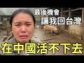 沒錢破產了！求求讓我回台灣，舔共陸配崩潰，在中國活不下去，貴州小微養豬慘賠，館長插隊被嗆逃跑，這下真的慘了