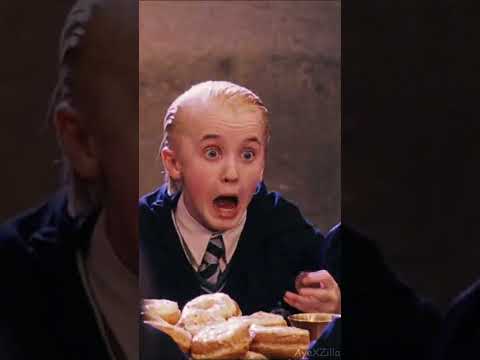 Meet Harry Potter