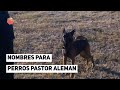 🥇 Mejores nombres para PERROS PASTOR ALEMAN 🦴 (Hembras & Machos)