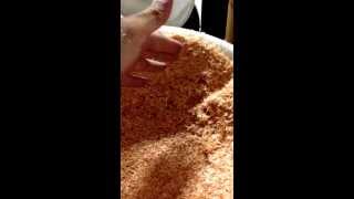 Amazing Saw Dust Jumping And Showing Me Love