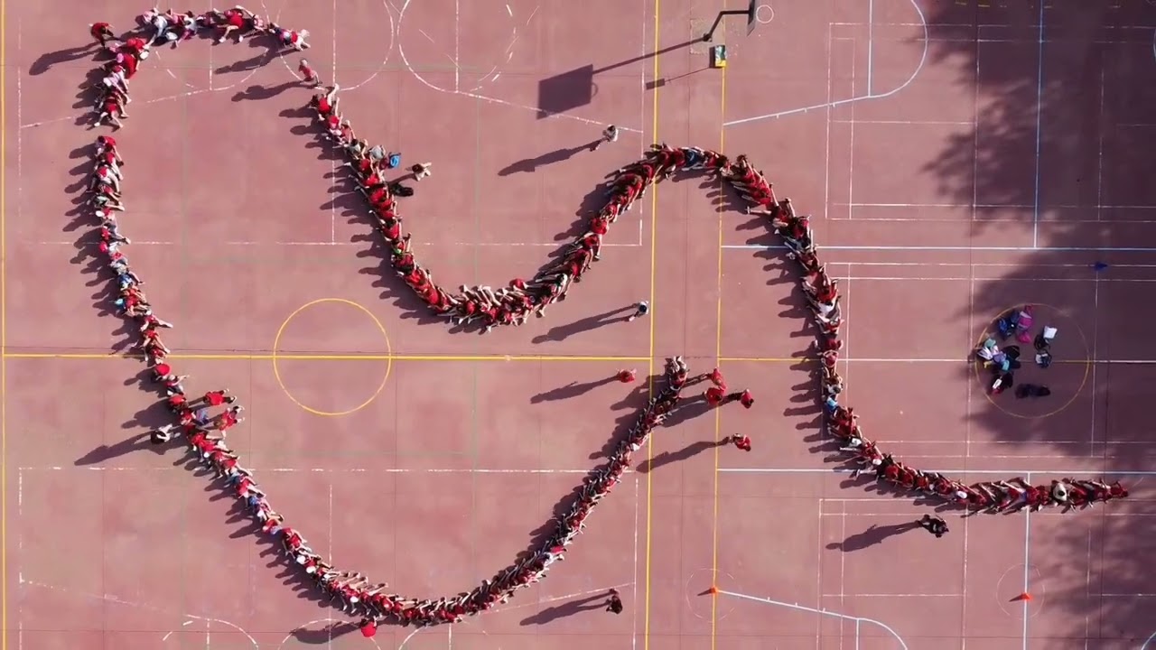 Colegio Público Virgen de Criptana