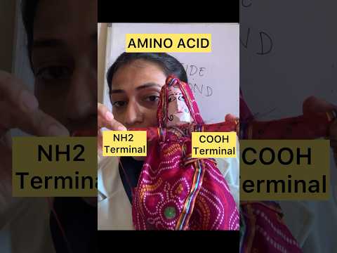 Amino Acid structure