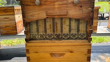 Modifications and options for a china flow hive.