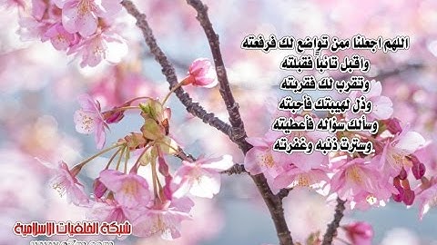 تلاوة رائعة سورة المجادلة الشيخ ياسر الدوسري www.qoranet.net