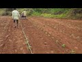Nano tractor #powerweeder #nanotractor #powertriller #agriculture