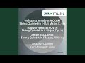 Miniature de la vidéo de la chanson String Quintet In C Major, Op. 29: Ii. Adagio Molto Espressivo