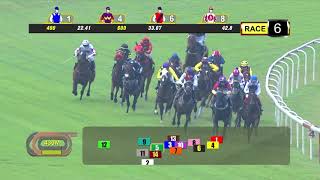 Vidéo de la course PMU PRIX OPEN MAIDEN