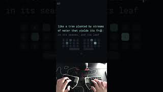 Typing Psalm 1 at 166WPM #keyboard #typing #bible