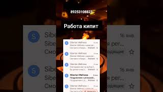 Регистрация в команду #сибирскоездоровье #shortvideo #бизнесонлайн #какзаработать