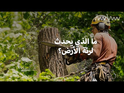 غابات الأمازون تتآكل فهل يوجد حل