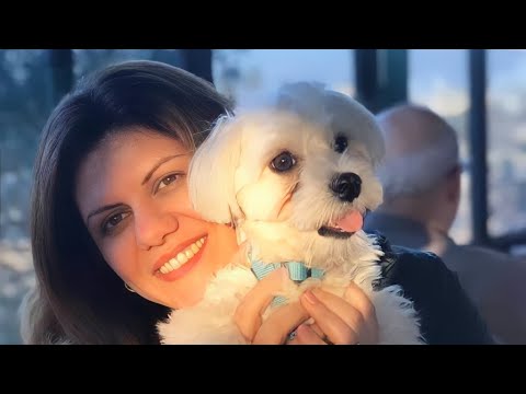 إذا كان يخاف فلماذا أريده زوجا اليكم أشهر 11 مقولة للشهيدة الراحلة شيرين ابو عاقلة