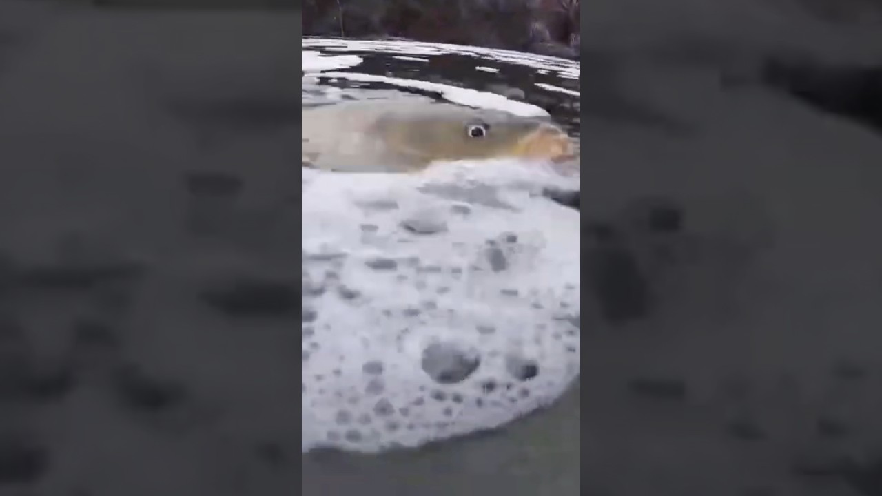 Он опаздывает ⏰ 