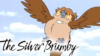 The Silver Brumby | Eyes in the Skies 🐎| HD FULL EPISODES