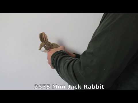 2675 Mini Jack Rabbit / Feldhase Fingerpuppe - FOLKMANIS-PUPPETS