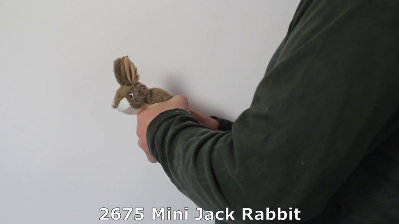 Video: Maňásek na prst zajíc