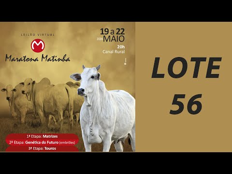 LOTE 56