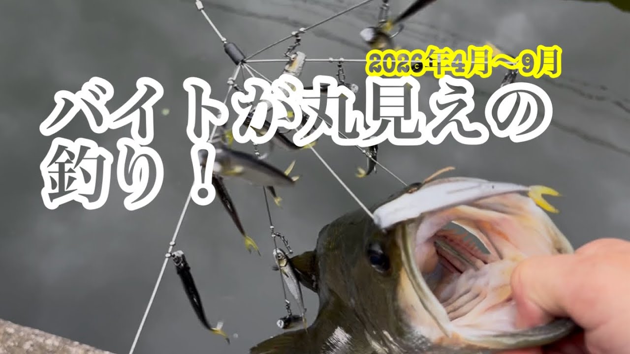 【テクトロ】#バス釣り #バスフィッシング #bassfishing