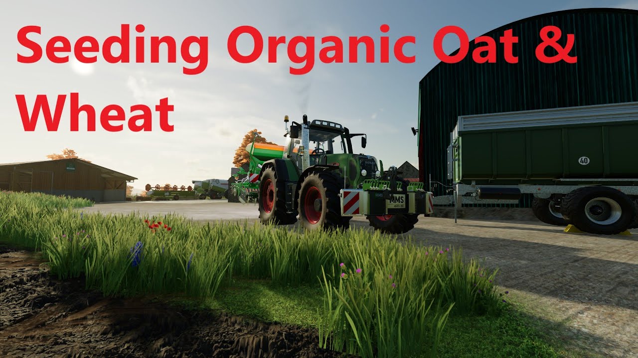 Seeding Oat and Wheat l Organic Farm at Bally Spring l Ep.18