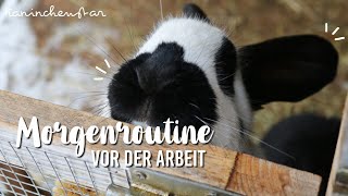Morgenroutine Vor Der Arbeit Bei Den Kaninchen Kaninchenstar